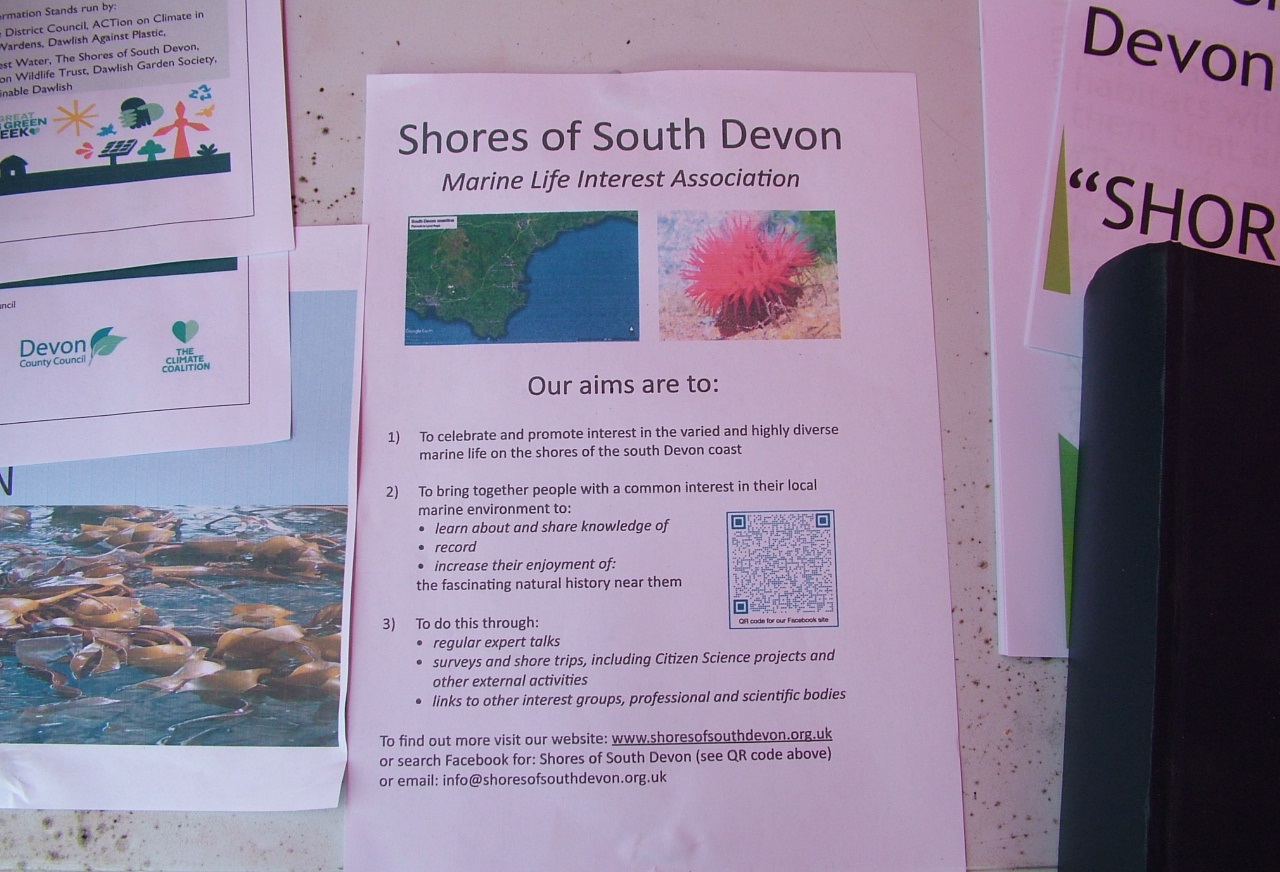 Shores of South Devon